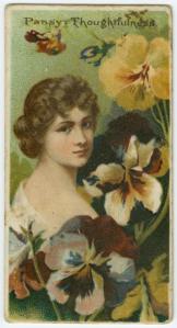 pansy - thoughtfulness Victorian Language of Flowers
