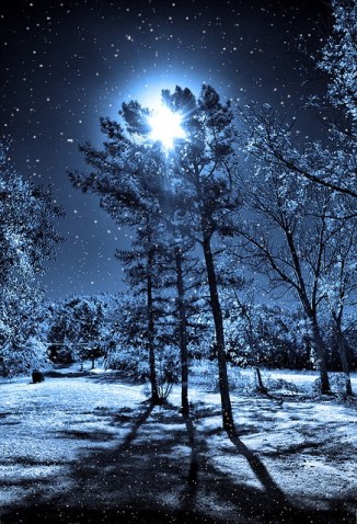 magicalwinternightmoon