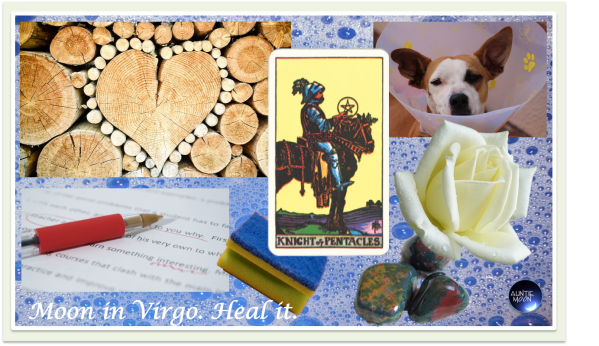 zodiac-symbols-virgo